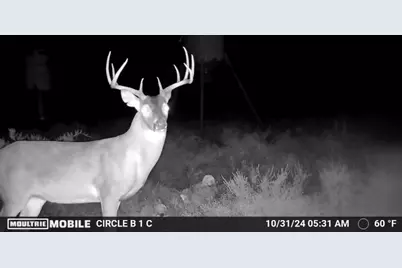 Lot 29 Comanche Hills Drive, Comanche, TX 76442 - Photo 17