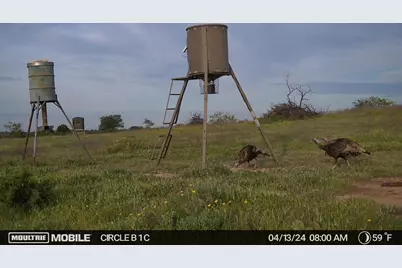 Lot 29 Comanche Hills Drive, Comanche, TX 76442 - Photo 23