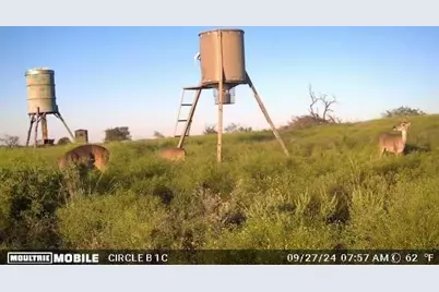 Lot 29 Comanche Hills Drive, Comanche, TX 76442 - Photo 25