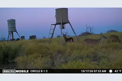 Lot 29 Comanche Hills Drive, Comanche, TX 76442 - Photo 19