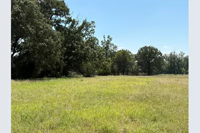 Tbd 3 County Road 1168 #Tract 3, Brashear, TX 75420 - Photo 5