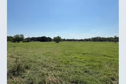 Tbd 3 County Road 1168 #Tract 3, Brashear, TX 75420 - Photo 9