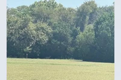 1017 White Bluff Drive, Whitney, TX 76692 - Photo 3