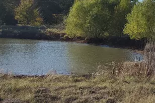 Tbd C R 2610, Ivanhoe, TX 75447 - Photo 1