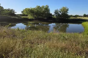 Tbd C R 2610, Ivanhoe, TX 75447 - Photo 1