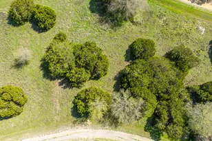 11082 Briarwood Dr, Whitney, TX 76692 - Photo 1