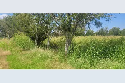 Tbd Holder Lot 3 Road, Waxahachie, TX 75165 - Photo 3