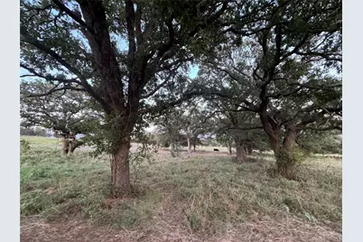 Tbd Bellenger Lane, Weatherford, TX 76088 - Photo 27