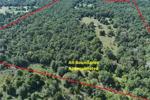 Tbd Cr 935, Teague, TX 75860 - Photo 1