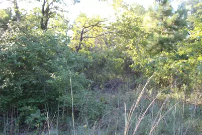 Tbd Cr 935, Teague, TX 75860 - Photo 7