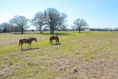 Tbd Vz County Road 1818, Grand Saline, TX 75140 - Photo 19