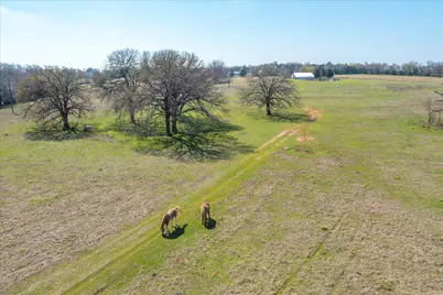 Tbd Vz County Road 1818, Grand Saline, TX 75140 - Photo 3