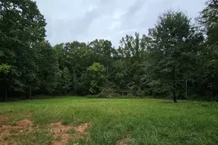 6338 E Fm 852, Winnsboro, TX 75494 - Photo 31