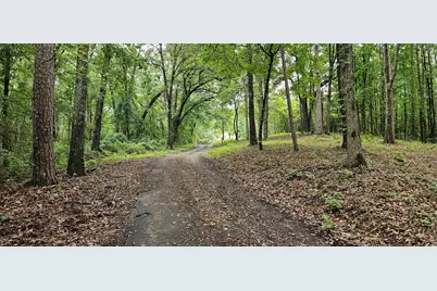 6338 E Fm 852, Winnsboro, TX 75494 - Photo 35