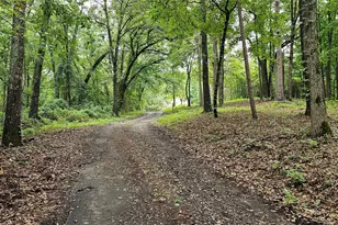 6338 E Fm 852, Winnsboro, TX 75494 - Photo 35