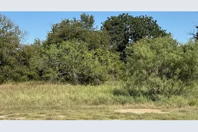 31033 Doe Run Court, Whitney, TX 76692 - Photo 1