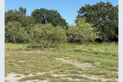 31033 Doe Run Court, Whitney, TX 76692 - Photo 3