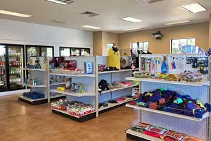 205 Msn Hls Dr, Gordonville, TX 76245 - Photo 29