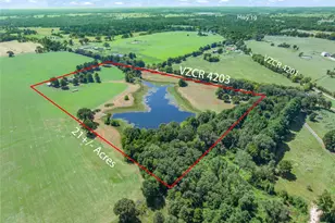 893 Vz County Road 4203, Canton, TX 75103 - Photo 5