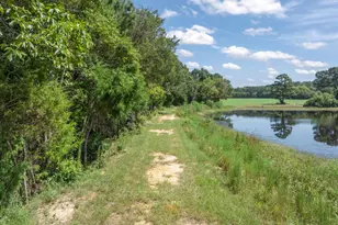 893 Vz County Road 4203, Canton, TX 75103 - Photo 7