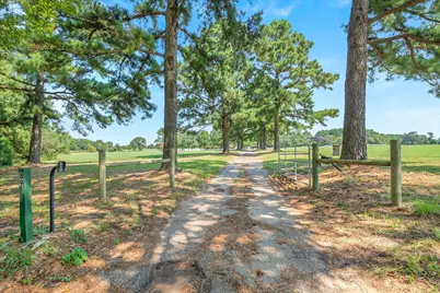893 Vz County Road 4203, Canton, TX 75103 - Photo 11