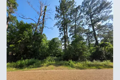 20812 Clinton, Chandler, TX 75758 - Photo 5