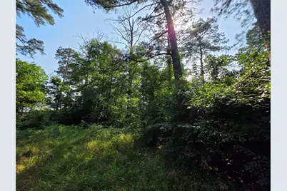 20812 Clinton, Chandler, TX 75758 - Photo 11