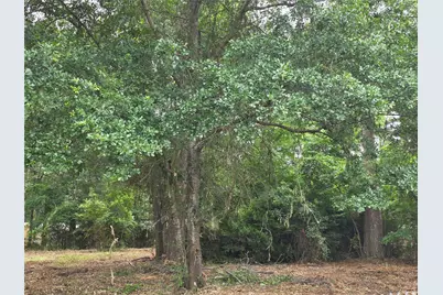 20812 Clinton, Chandler, TX 75758 - Photo 19