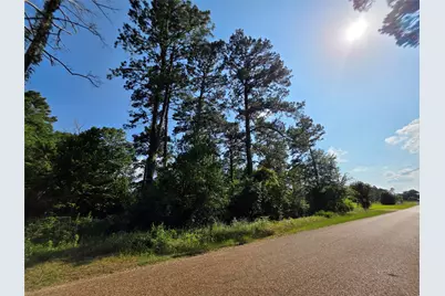 20812 Clinton, Chandler, TX 75758 - Photo 9