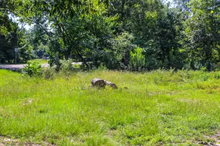 6773 Fm 1699, Avery, TX 75554 - Photo 3