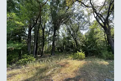 87 Acres Fm 269, Pickton, TX 75471 - Photo 3