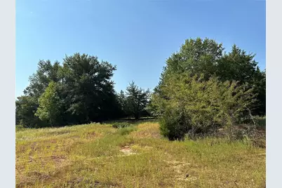 87 Acres Fm 269, Pickton, TX 75471 - Photo 23