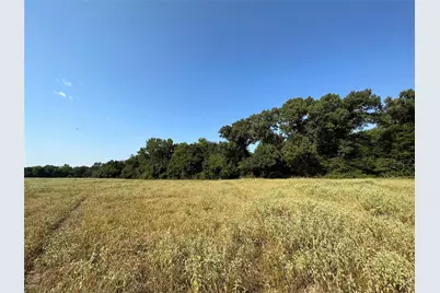 87 Acres Fm 269, Pickton, TX 75471 - Photo 13