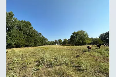 87 Acres Fm 269, Pickton, TX 75471 - Photo 5