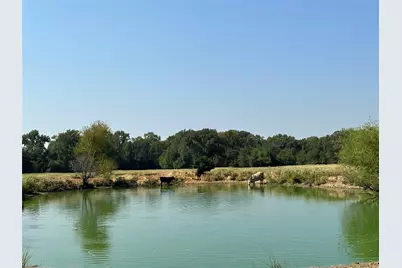 87 Acres Fm 269, Pickton, TX 75471 - Photo 7