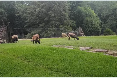 8324 Big Oaks, Quinlan, TX 75474 - Photo 39