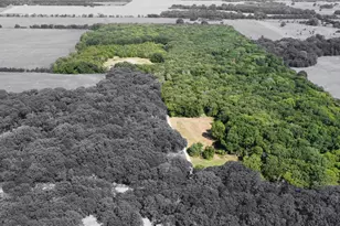 643 County Rd 2255, Telephone, TX 75488 - Photo 39