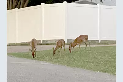 5450 Starlight Drive N, Fort Worth, TX 76126 - Photo 31