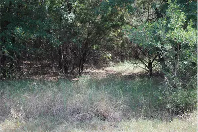 31038 Doe Run Court, Whitney, TX 76692 - Photo 3