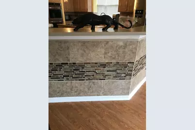 1135 Sawsawi, DeSoto, TX 75115 - Photo 9