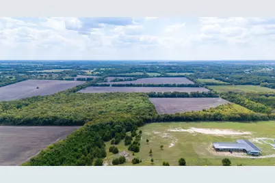 1703 County Road 4605, Trenton, TX 75490 - Photo 3