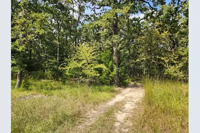 Lot 31 Fox Point Road, Quinlan, TX 75474 - Photo 5