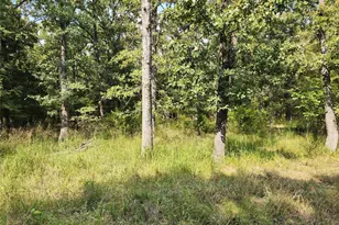 Lot 31 Fox Point Rd, Quinlan, TX 75474 - Photo 1