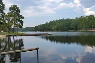 1476 W Holly Trail, Holly Lake Ranch, TX 75765 - Photo 17