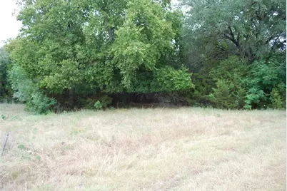 13005 Crestwood Drive, Whitney, TX 76692 - Photo 5