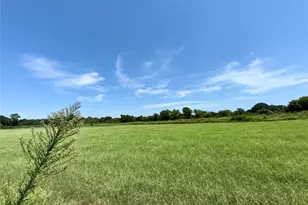 601 Eddy Ave, Joshua, TX 76058 - Photo 17