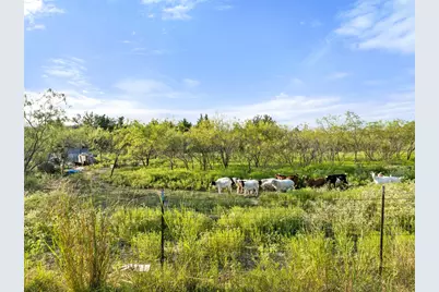 Tbd I-30 Frontage Road, Caddo Mills, TX 75135 - Photo 17