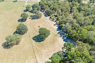 12126 FM 59, Athens, TX 75751 - Photo 25