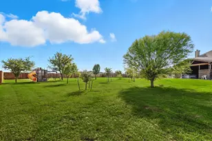 142 High Ridge Ct, Decatur, TX 76234 - Photo 33