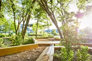 9263 Pavonia, Frisco, TX 75035 - Photo 9